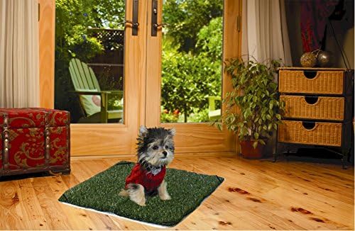 Pup-Head® Lite Dog Potty 20" x 20"