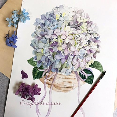 Jiachen Art Fashion Hydrangea Hand Bouquet Home Decoration Watercolor Copy Photo Painting Print Fine Art Print Wall Art Home Decor Wall Hanging Christmas Gift ,Four Size