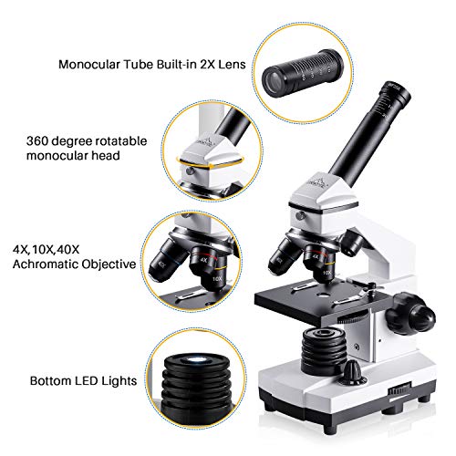 2 200X+2000X+Microscopes+Microscope+Biological+Laboratory