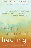 "The True Source of Healing How the Ancient Tibetan Practice of Soul Retrieval Can Transform and Enrich Your Life" av Tenzin Wangyal Rinpoche