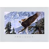 Soulaca 32" LCD TV for Bathroom Waterproof White Color T320FN-W