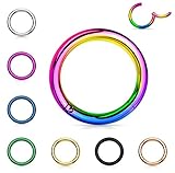 1 Piece Rainbow Hinged Segment Ring/Septum Clicker Titanium Anodized 316L Surgical Steel