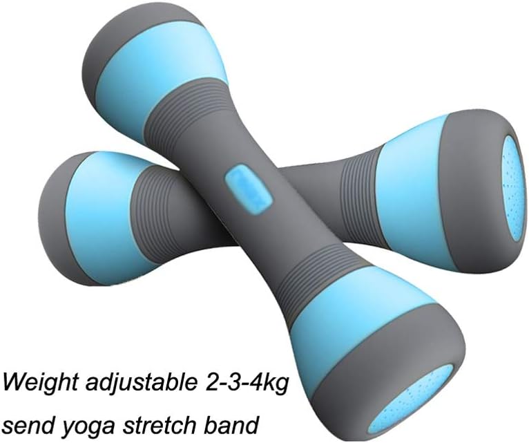 Queen Boutiques Adjustable Dumbbells Thermoplastic Rubber Small Dumbbells Ladies Fitness Thin Arms Weight Loss Equipment Home Fitness Tools