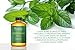 Purest Naturals Peppermint Essential Oil - 100% Pure & Natural Therapeutic Grade - Best Aromatherapy Oil For Diffuser - 30mL 1 Oz