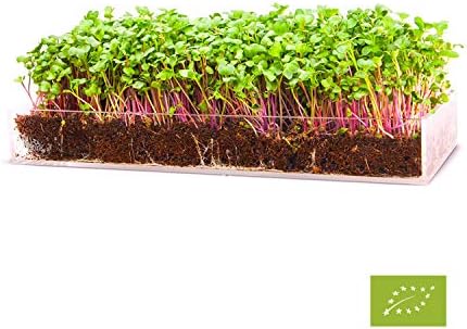 Garden Pocket Bandeja Large Brotes Germinados Bandeja Sustrato de ...