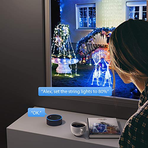 Smart Outdoor Dimmer, WiFi Plugin Light Dimmer for LED String Light