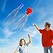 SINGARE Large Octopus Kite Long Tail Beautiful Easy Flyer Kites Beach Kites Good Toys for Kids and Adults