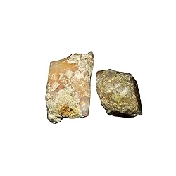 GEMKORA™ (20mm+) 2pcs Natural Raw Ethiopian Opal
