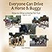 Everyone Can Drive a Horse and Buggy: How to Drive a Horse for Fun - Beginner Level by Kara Whittaker