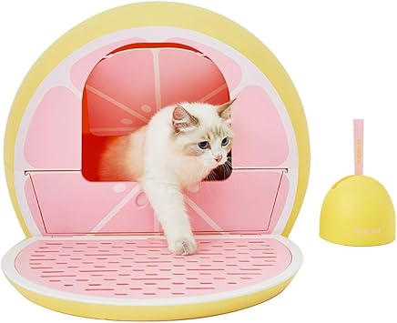 Affirmer Se Sentir Mal Secteur Caisse A Chat Fermee Amazon Location Corse Calvi Com