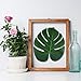 KUUQA 36 Pcs 3 Kinds Artificial Tropical Leaves with Stems， Green Palm Leaves for Luau Hawaiian Tropical Party Decorations, Faux Monstera Leaves for Jungle Safari Party Palm Decorations Supplies