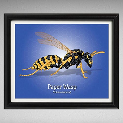 Paper Wasp Marker Illustration 8x10 Print