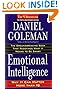 Emotional Intelligence: Why It Can Matter More Than IQ