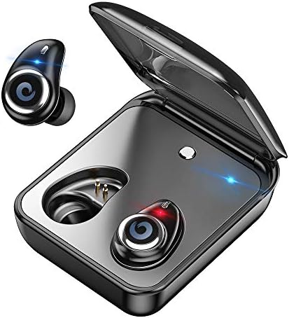 Wireless Earbuds,CASECUBE Mini TWS Wireless Earbuds IPX7 Waterproof Bluetooth Earphone Ture Wireless Earbuds Sport Wireless Headphones with 2000mAh Charging Case (black1)