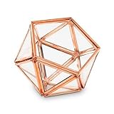 Bella's garden Geometric Terrarium Container Desktop Planter for Succulent Fern Moss Air Plants Holder Miniature Outdoor Fairy Garden Gift Wedding Ring Glass Box (Small, Rose Gold)