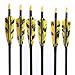 PG1ARCHERY 31-Inch Carbon Arrows Target Practice Hunting Arrow with 4