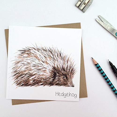Hedgehog Wildlife Blank Greetings Card