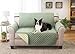 Deluxe Reversible Loveseat Slipcover Furniture Protector, Seat Sofa, Chair, Couch Quilted, Anti-Slip 2 Inch Strap, Machine Washable, Slip Cover Throw for Pets, Dogs, Cats, Kids - Olive/Sage