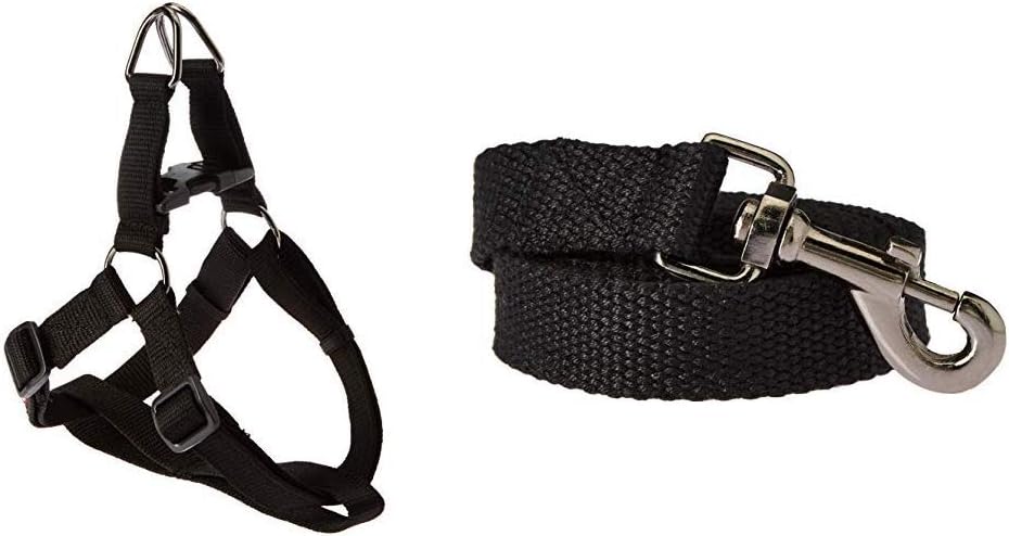 Pets Like Regular Harness and Leash, Black, Medium