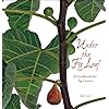 Under the Fig Leaf