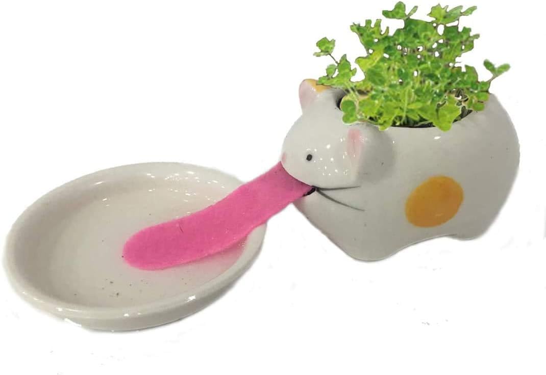 Mini Ceramic Plant Pots Cute Self Watering Animal Planter Drinking Animal Tongue for Home Office Desktop Decoration