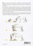 Image de 40 jeux et activités pour éduquer votre cheval