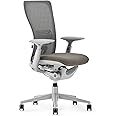Haworth Zody Dual Posture Mesh Office Chair – Ergonomic Desk Chair with Forward Tilt Option – with Lumbar Support (Stone)