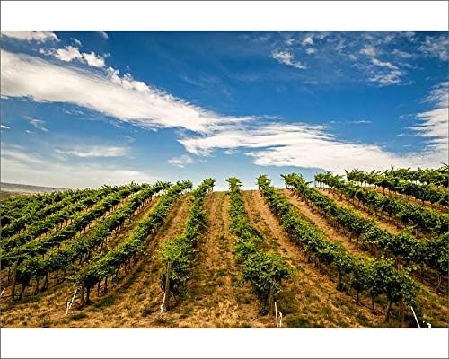 Amazon Com Media Storehouse 10x8 Print Of Woodward Canyon
