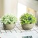 THE BLOOM TIMES 2 Pcs Fake Plants for Bathroom/Home Office Decor, Small Artificial Faux Greenery for House Decorations (Potted Plants)