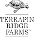 Terrapin Ridge Farms Gourmet Spicy Chipotle Garnishing Sauce - Two 9 Ounce Squeeze Bottles