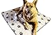 Fluffytizers 2-Pack Washable Dog/Waterproof/Premium Large Quilted/Reusable Puppy Training Travel Pee Pads Size 31