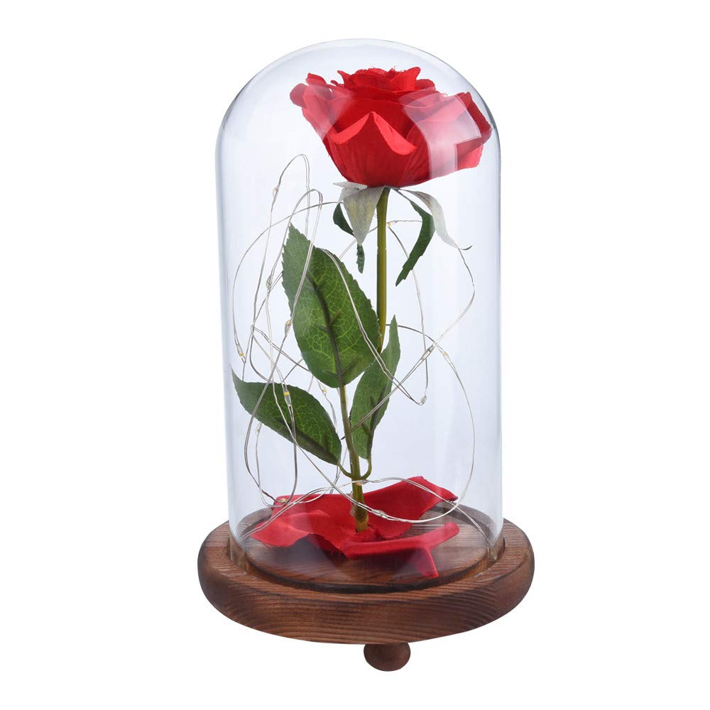 Amazoncom Star Wuvi Beauty And The Beast Red Rose KitEnchanted