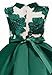AYOMIS Flower Girl Pageant Dress Kids Party Embroidery Wedding Dresses 2-9 Years(Green 2-3Y)