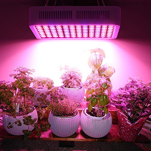 Roleadro Plant Grow Light, 600W LED Grow Light Full Spectrum Plant Light Dual-Chip Growing Lamp with ON/Off Switch,Daisy Chain for Hydroponic Indoor Plants Veg and Flower (only 110V)
