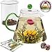 Teabloom Blooming Oasis Teapot - 34 oz Borosilicate Glass Teapot, Glass Tea Infuser, 2 Blooming Teas - Thermal Shock Resistant - Stovetop, Microwave, Dishwasher Safe