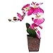 MyGift Decorative Synthetic Purple Silk Artificial Phalaenopsis Moth Orchid Flower w/Plant Stand
