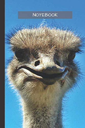 Ostrich Notebook: Small lined Ostrich notebook - Travel Journal to write in - 120 pages - 6"x9"