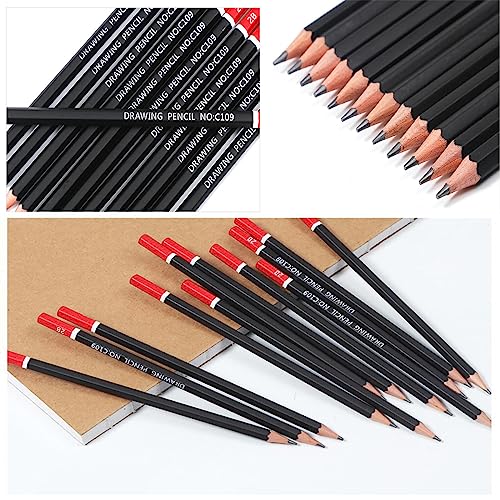 Drawing Pencils, 36pcs Art Supplies Sketching Pencils Set with Graphite Pencils Dual Ended Color Pencil Charcoal Pencils for Artists Adults Kids Beginners