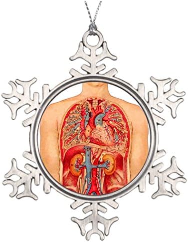 Best Friend Snowflake Ornaments vintage Kitsch Medical Art Internal Organs Man Home Decor Vintage Medical Illustration