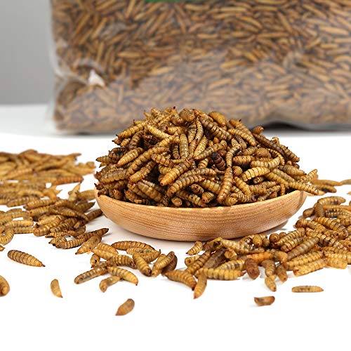 SUNBELY 5lb Freeze Dried Black Soldier Fly Larvae Food For Wild Birds