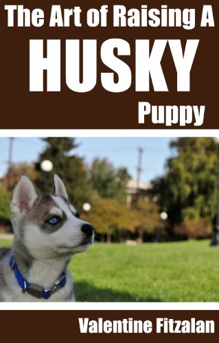 The Art of Raising a Husky Puppy