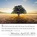 365 Bible Verses-A-Year Page-A-Day Calendar 2019
