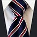 Secdtie Men's Classic Blue Red Striped Jacquard Woven Silk Tie Formal Necktie