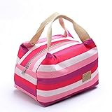 Picnic Insulated Food Storage Zipper Box Bento Pouch Lunch Bag