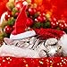 Dog Santa Hat Cat Xmas Hat, Cat Christmas Outfits