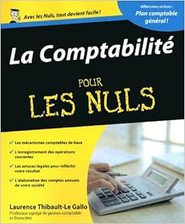 La Comptabilite Pour Les Nuls Plan Comptable Avec Plan Comptable General Amazon Co Uk Thibault Le Gallo Laurence Books La Comptabilite Pour Les Nuls Plan Comptable Avec Plan Comptable General Amazon Co Uk Thibault Le Gallo Laurence Books