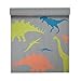 Gaiam Kids Yoga Mat Exercise Mat, Yoga for Kids with Fun Prints - Playtime for Babies, Active & Calm Toddlers and Young Children, Dino Zone, 3mm