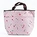 Dxg Waterproof Lunch Bag Tote Lunch Box Insulated Cooler Carry Bag for Travel and Picnic (Pink)