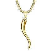 Rnivida Stainless Steel Italian Horn Cornicello Amulet Pendant Necklace Talisman Jewelry Gifts