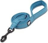 Truelove TRUE LOVE Dog Leash Padded Reflective 110cm Blue M TLL2111